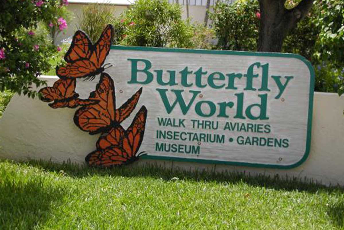 Butterfly World Logo